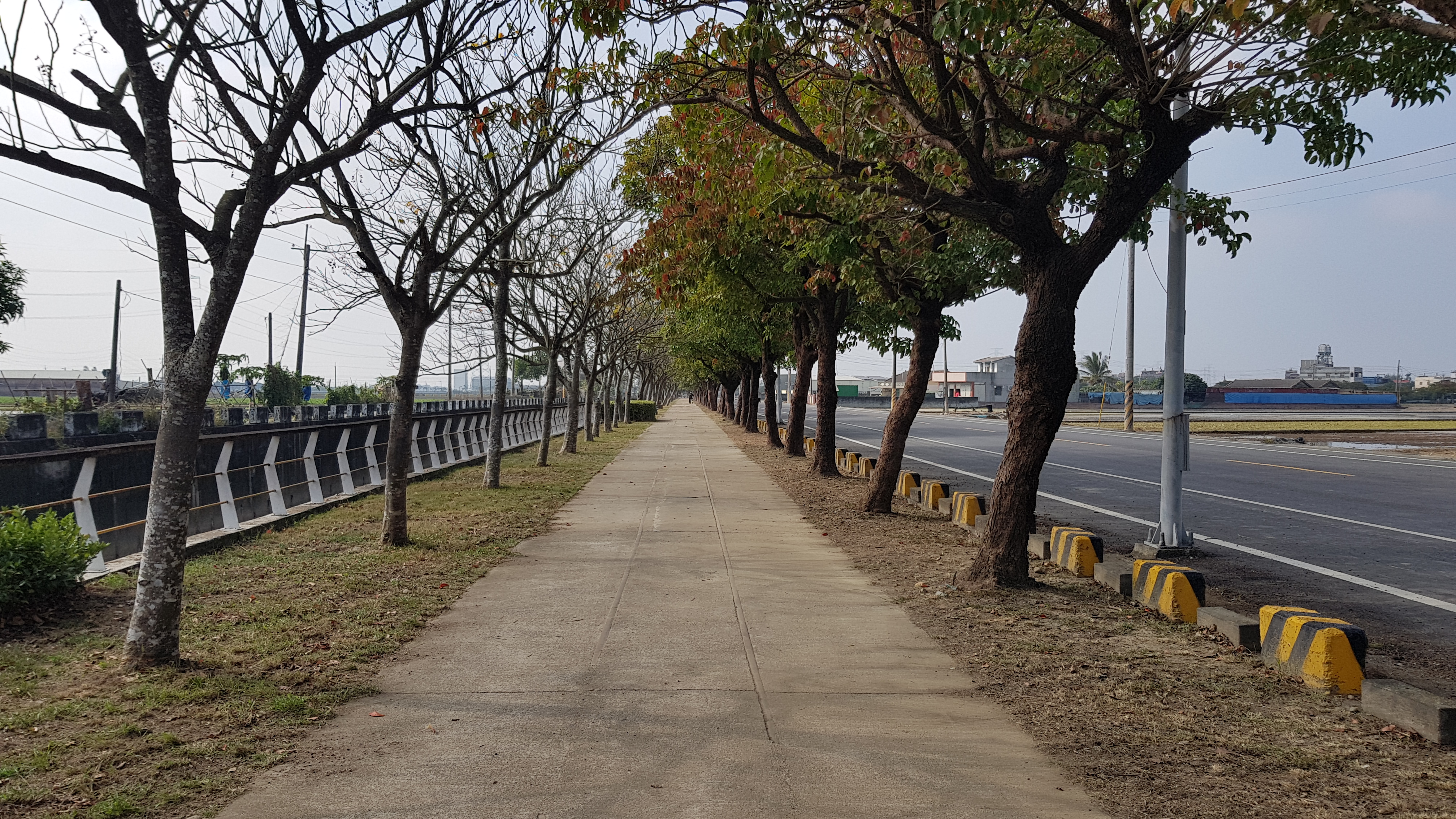 12.自行車道在社會勞動人的努力下恢復原有樣貌。
