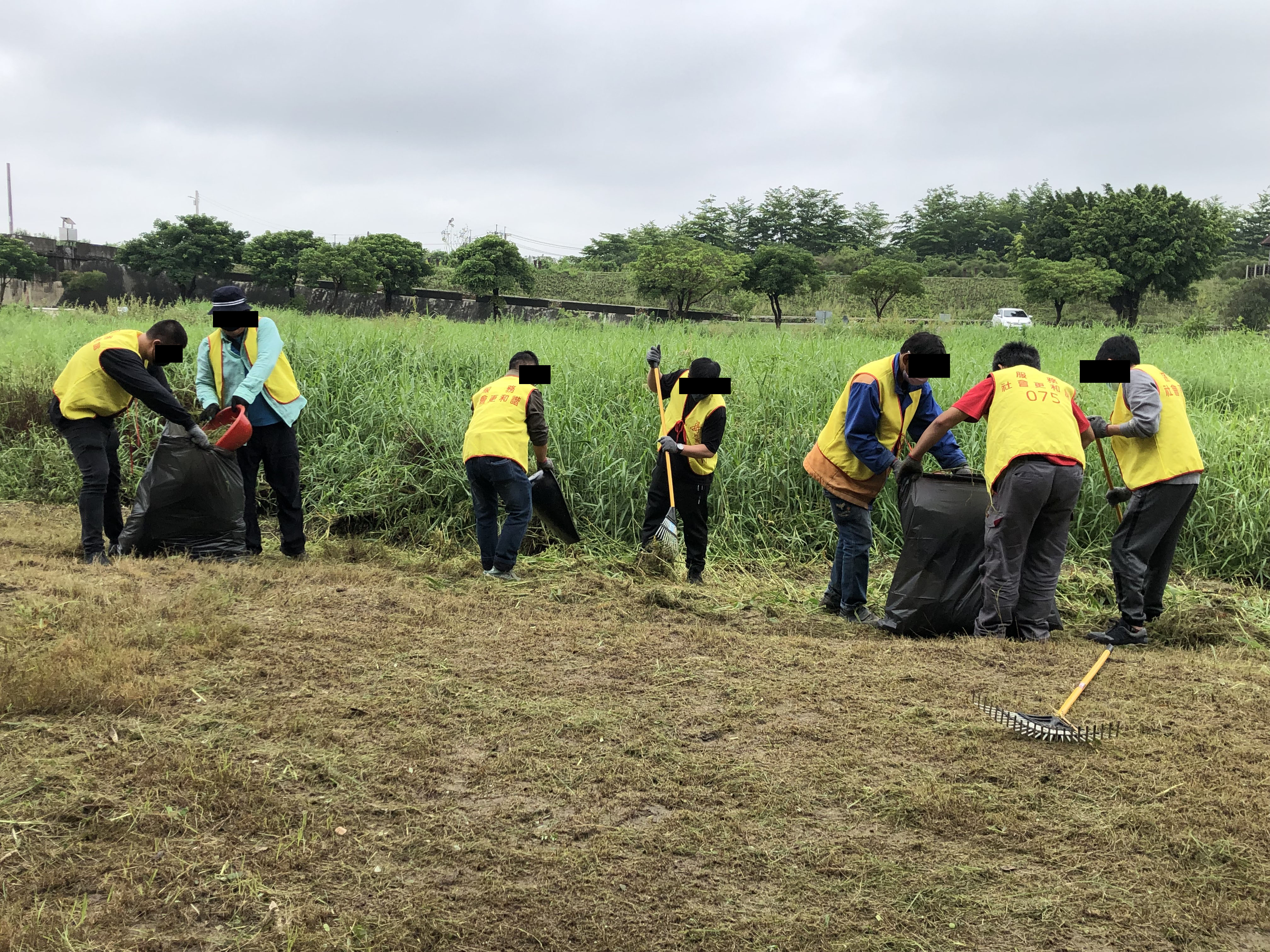 10.勞動人互助合作清理生態公園內雜草與垃圾。