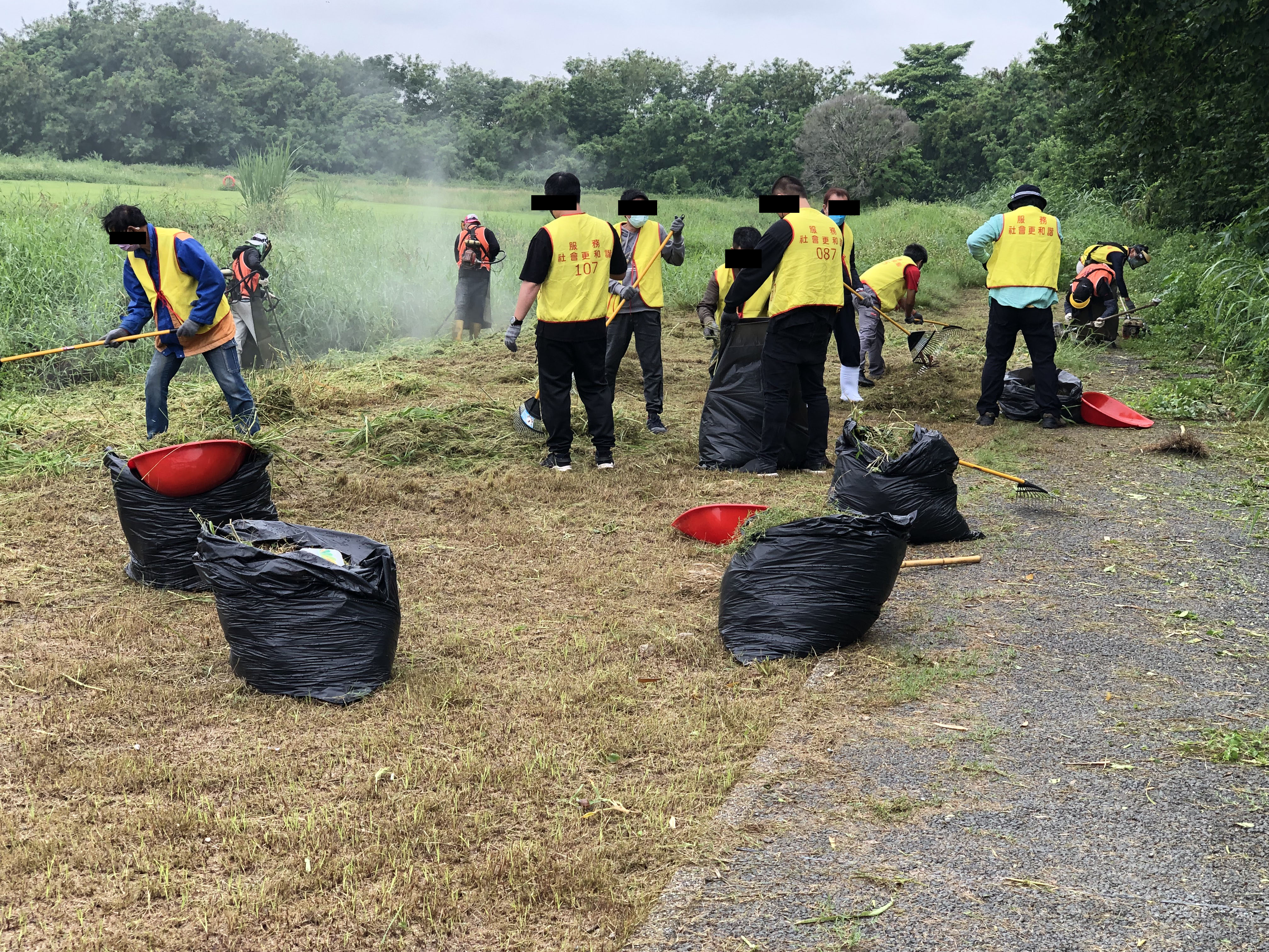 11.社會勞動人於生態公園將雜草打掃成堆，以便清運。