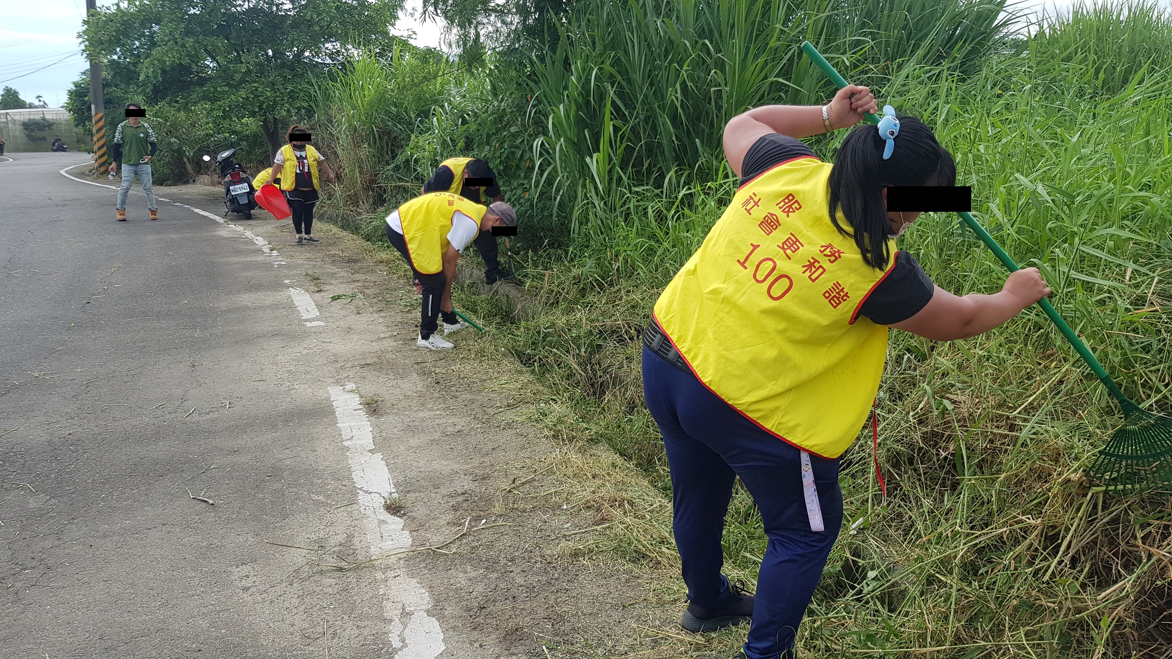 11.勞動人分工合作清理草叢中的垃圾及廢棄物。