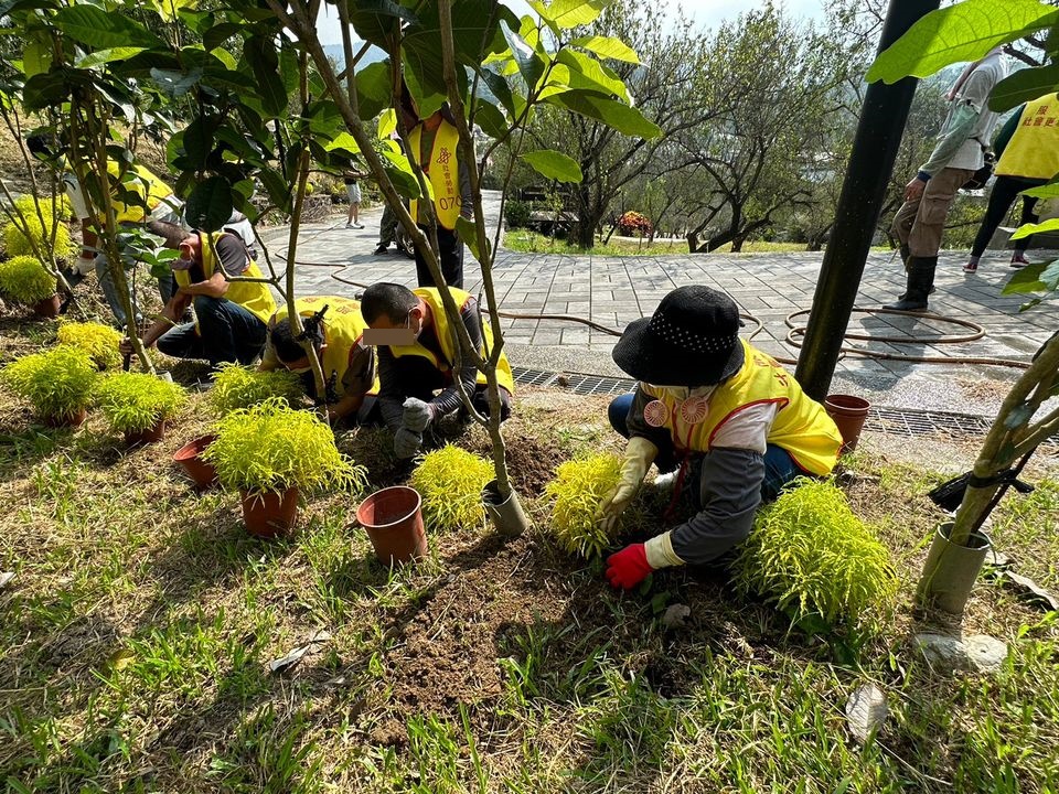 10.第二天勞動人在梅山公園內協助植栽三爪金龍栽種。