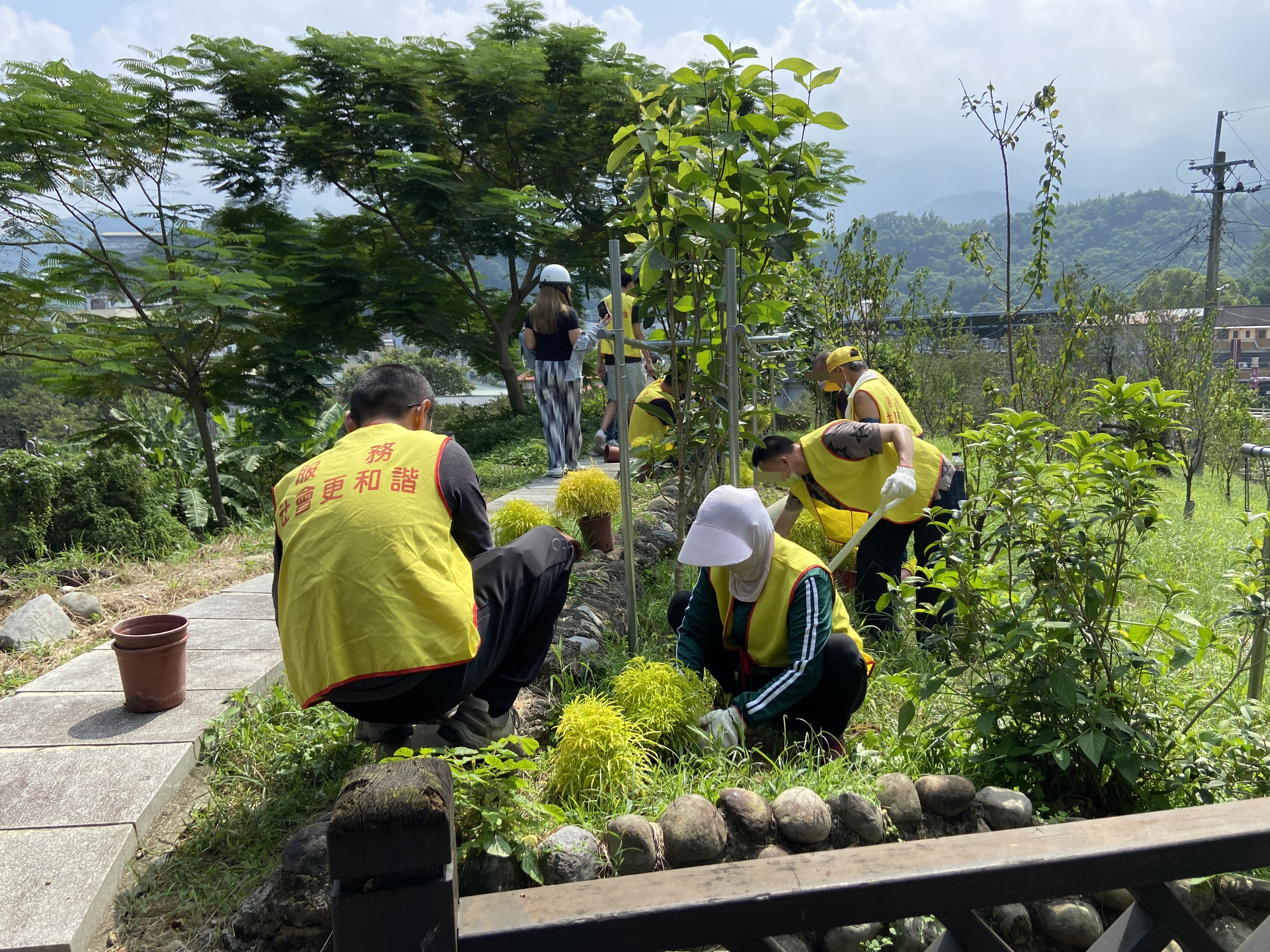 11.勞動人於烈日下使用小鏟子等工具將植栽花苗種於土堆。