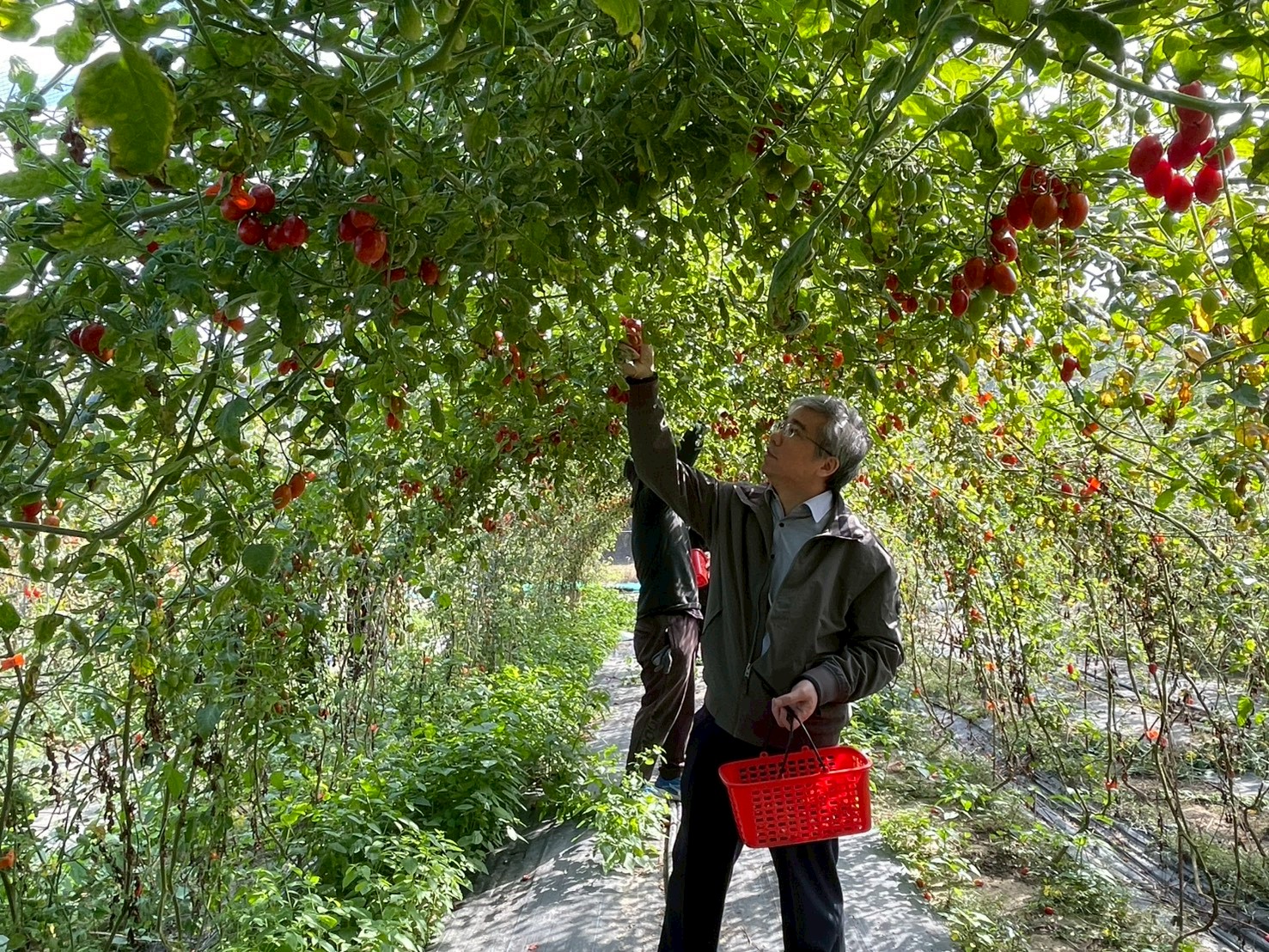 嘉義犯保與嘉義地檢署檢察長共同關懷受風災馨生人3