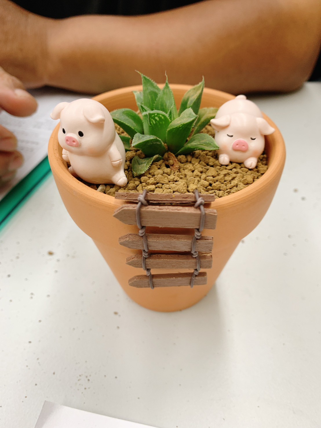 4.學員完成個人專屬多肉盆栽作品，透過植物療癒與創作體驗感受放鬆與成就感。